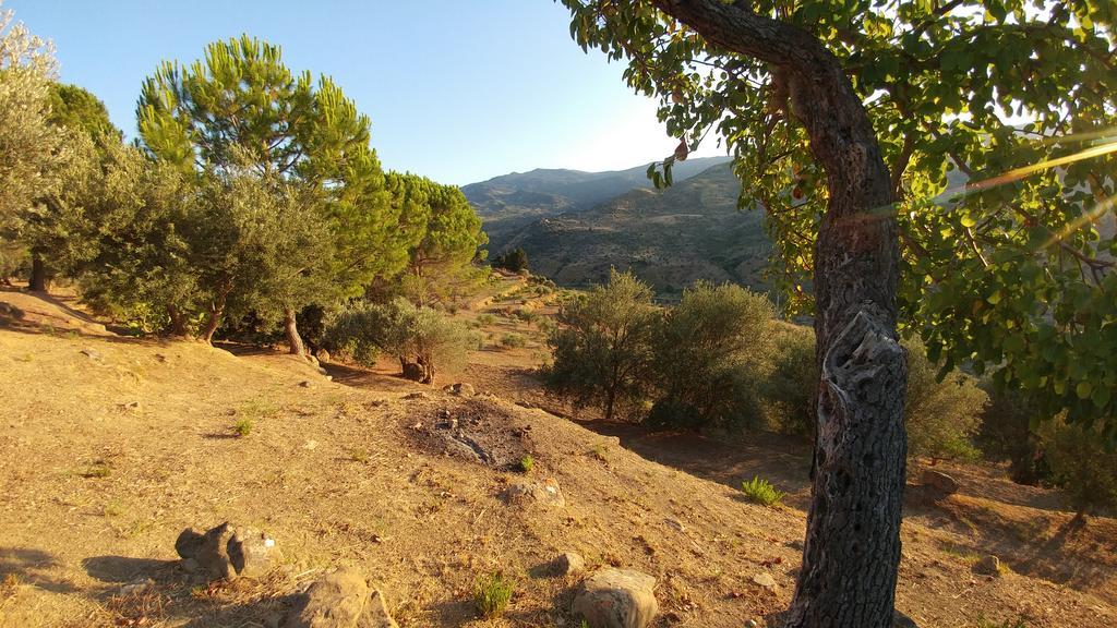 הוילה Pettineo Casa Migliaca מראה חיצוני תמונה