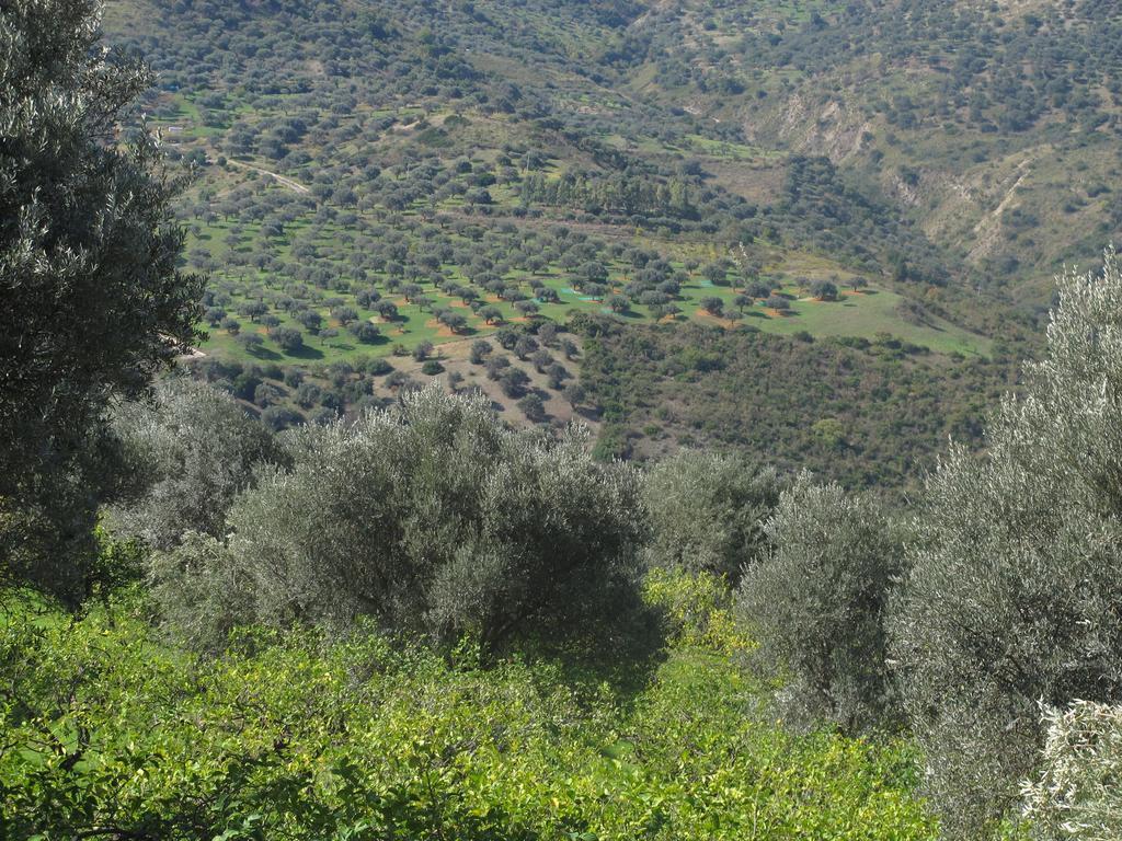 הוילה Pettineo Casa Migliaca מראה חיצוני תמונה